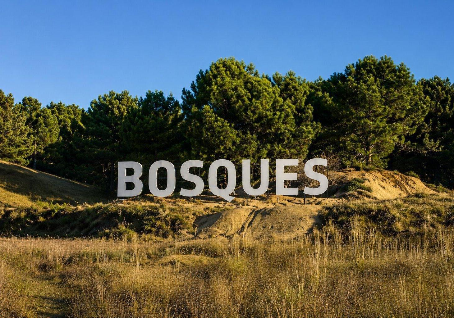 Foto de Lote en venta Barrio Bosques Tamarisco Pinamar Norte, imagen 3