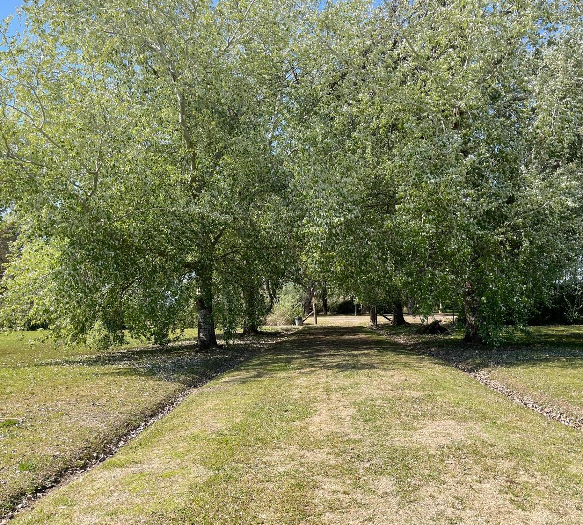 Chacras de San Pablo - 1 1/2 Ha Paraíso en La Tierra 5
