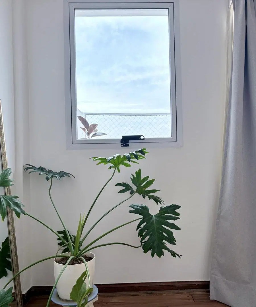 Venta Departamento 3 Amb Terraza 8
