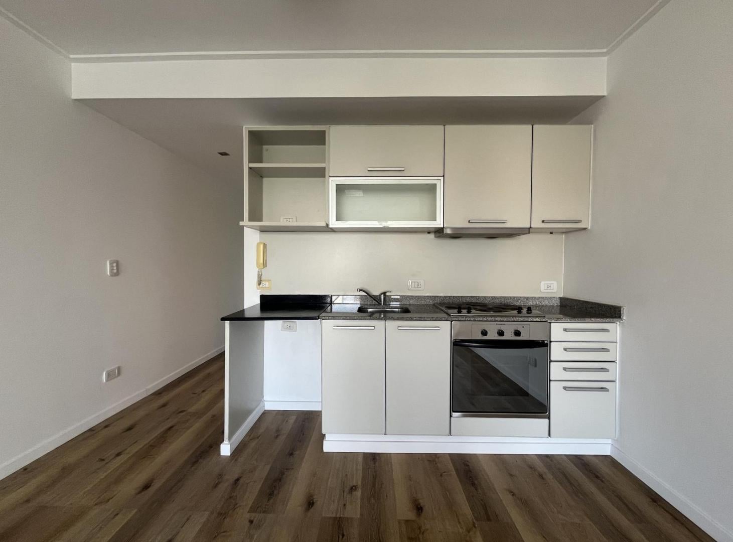Foto de Alquiler Departamento Monoambiente Super Amplio y Luminoso, imagen 4