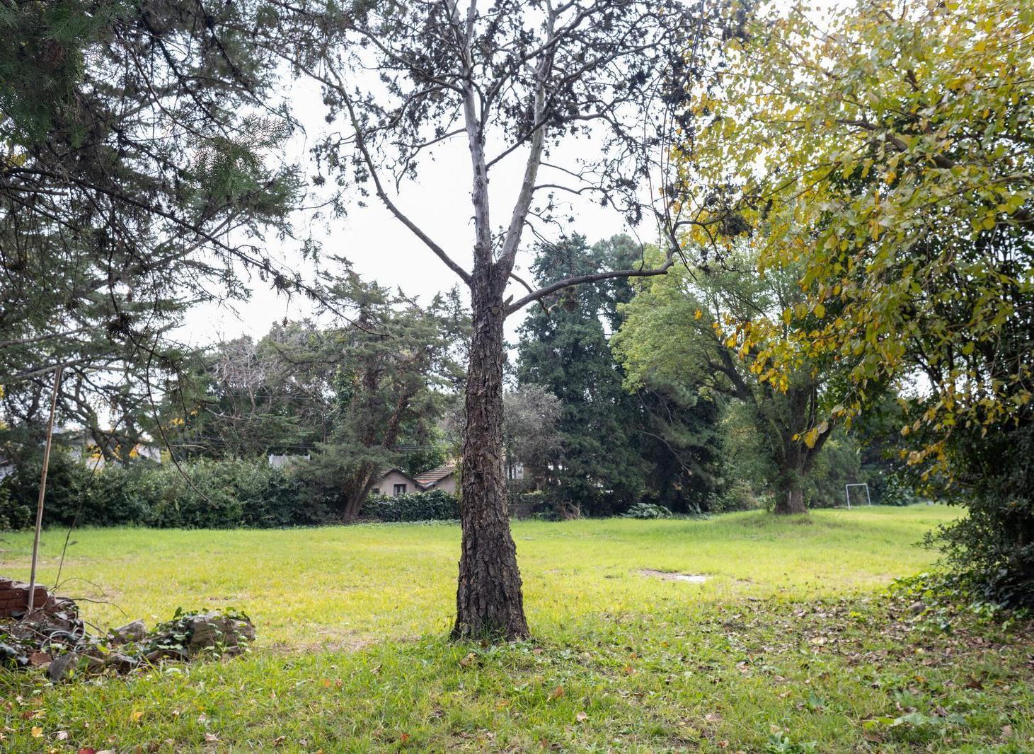 Foto de Terreno en venta sobre Gobernador Arana en Boulogne, imagen 2