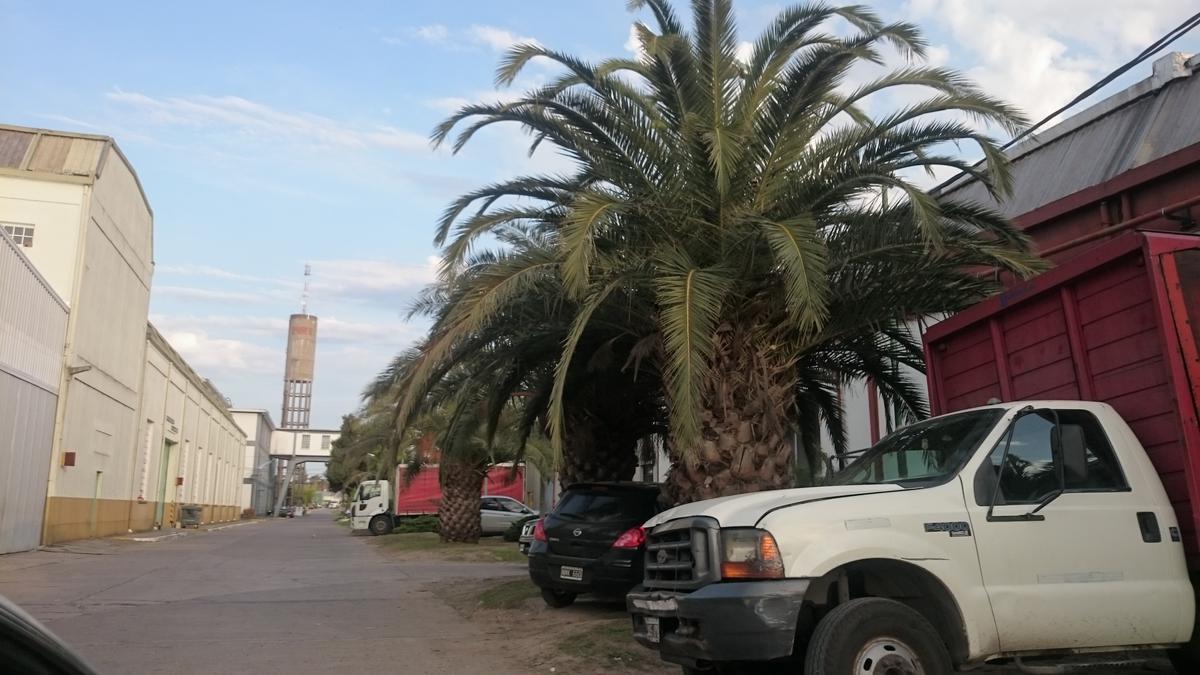 Alquiler a Estrenar Nave Industrial de 1200 m² Parque Industrial Platanos 3
