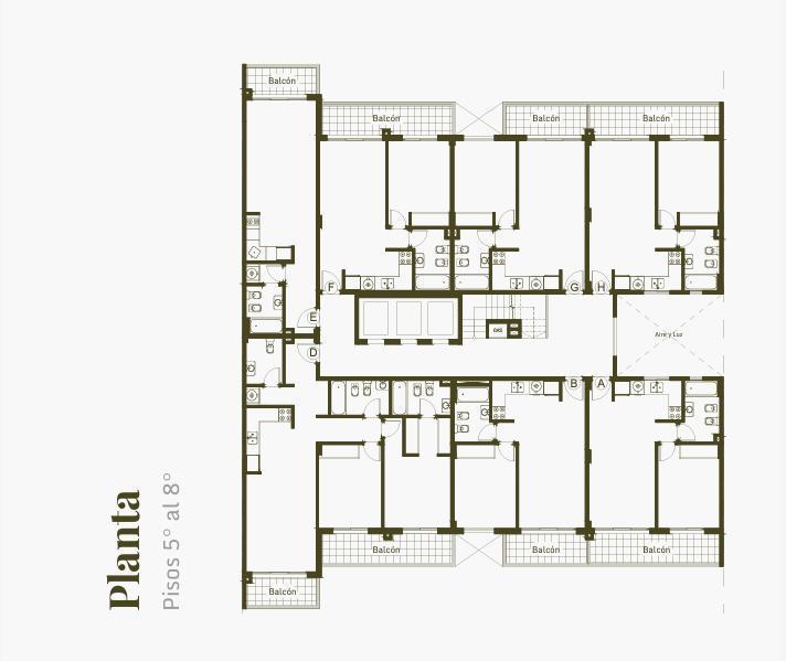 Plano 8