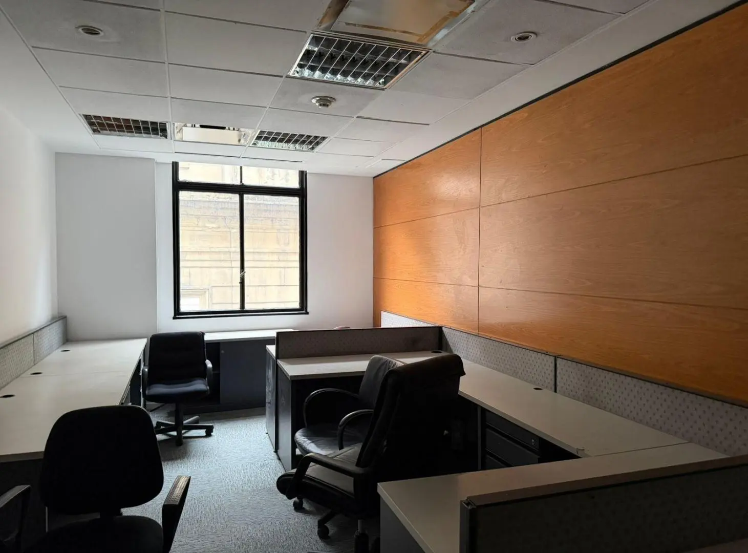 Gran Inmueble Comercial / Corporativo en Alquiler – Maipú 362-1623 m2. 3