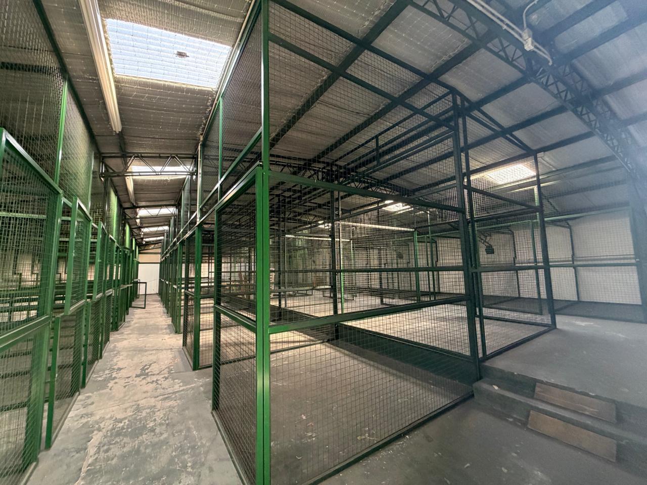 Foto de Depósito en alquiler - 1400 m2 - Paternal, imagen 2