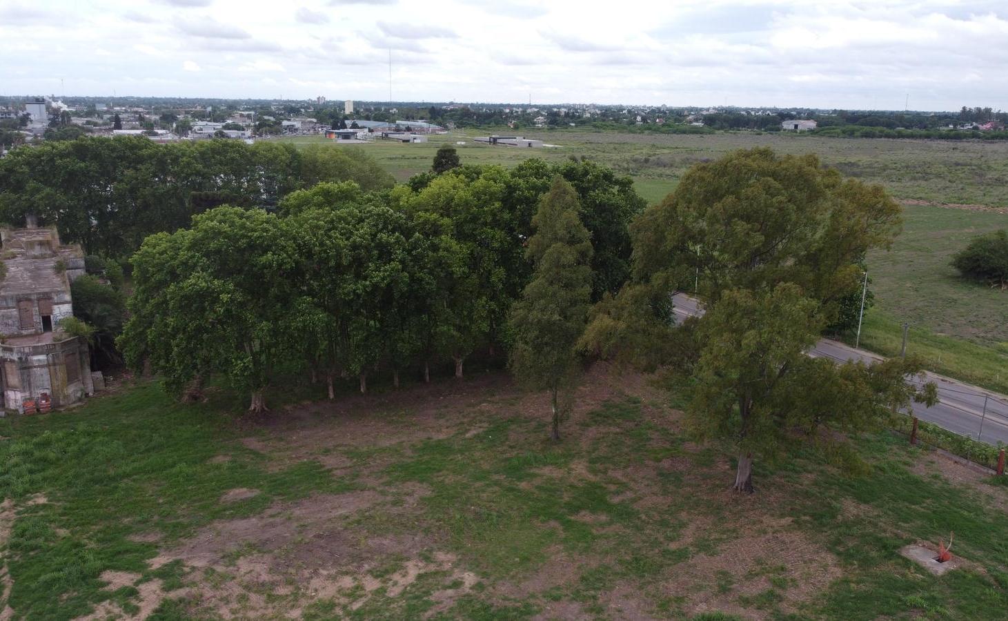 Foto de Terreno industrial y logístico en Merlo, imagen 3