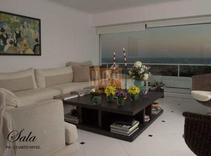 frente al mar phouse playa brava 5