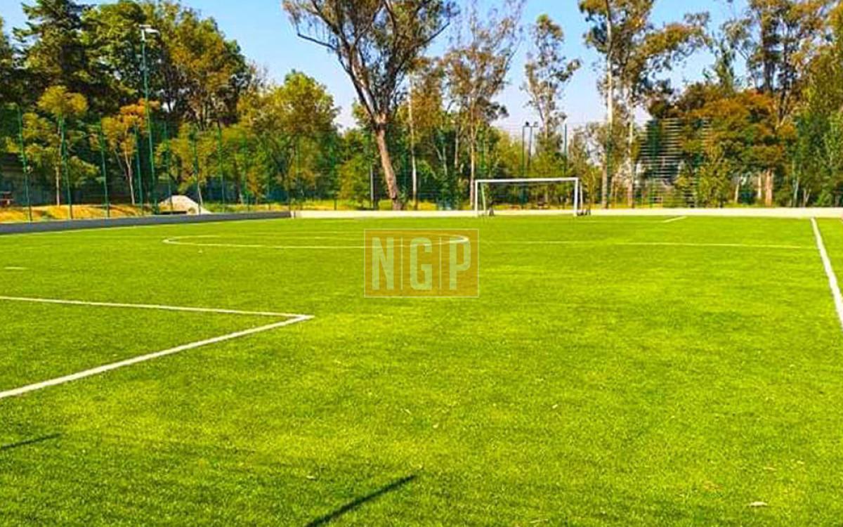 Foto de la chacra terrenos en Rincon del Indio, imagen 5