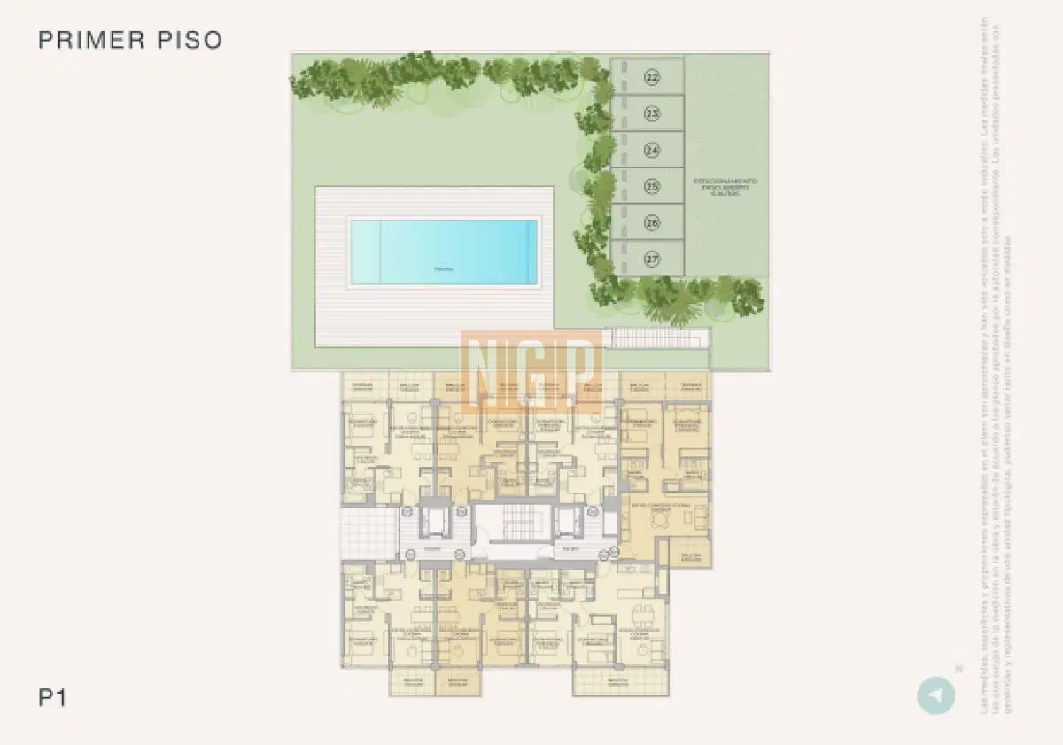 Plano 5
