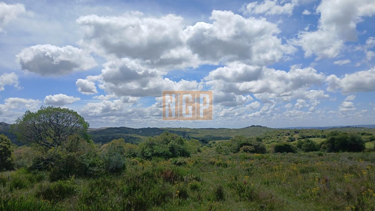 Foto de VENTA CHACRA, imagen 2