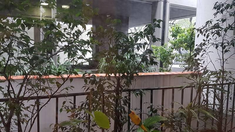 Venta Regio Piso Bajo 360 m² con Vista a Parques Muy Luminoso 4 Dormit 1 Cochera y Seg. 24 Hs 3