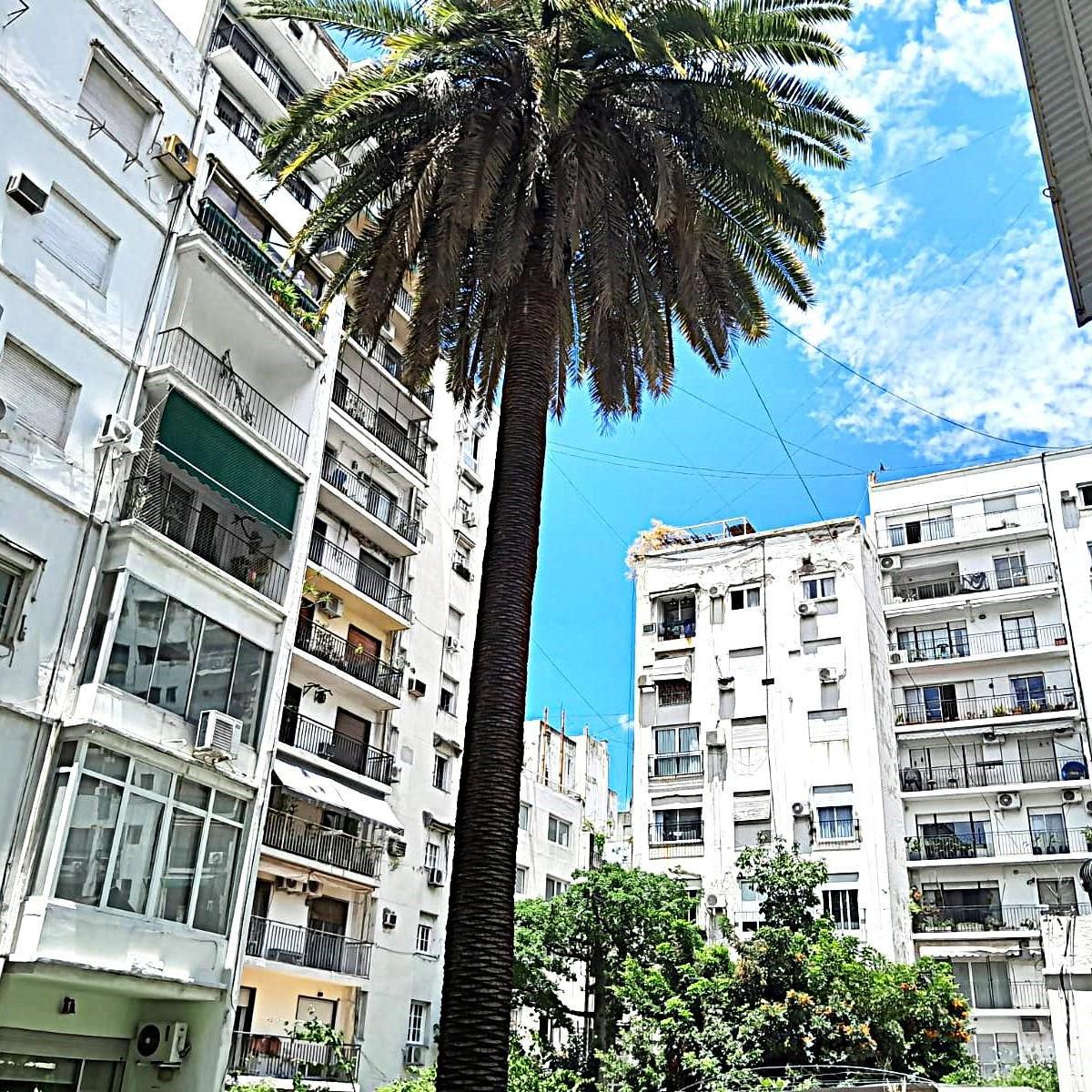 Venta - Departamento - Recoleta - Francés - 4 Dorm. - 250 m² 4