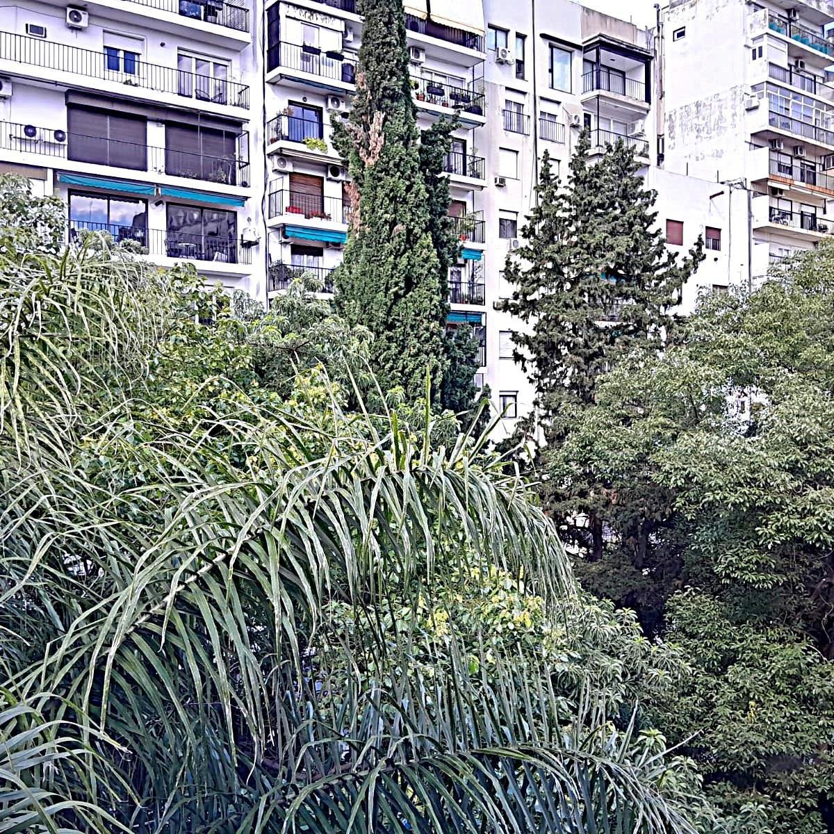 Venta - Departamento - Recoleta - Alto - 4 Suites - 1 Cochera 5
