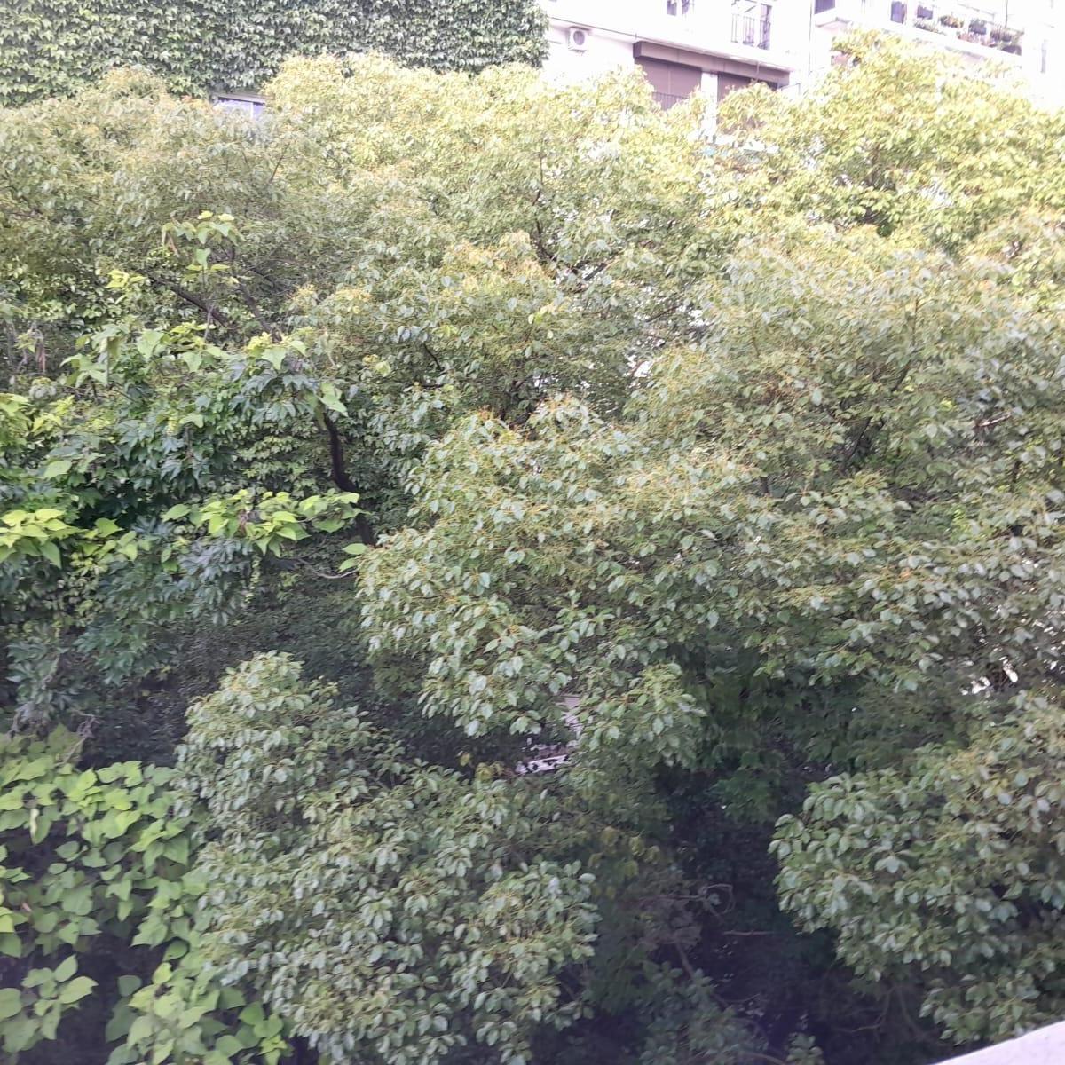 Venta - Departamento - Recoleta - Alto - 4 Suites - 1 Cochera 3