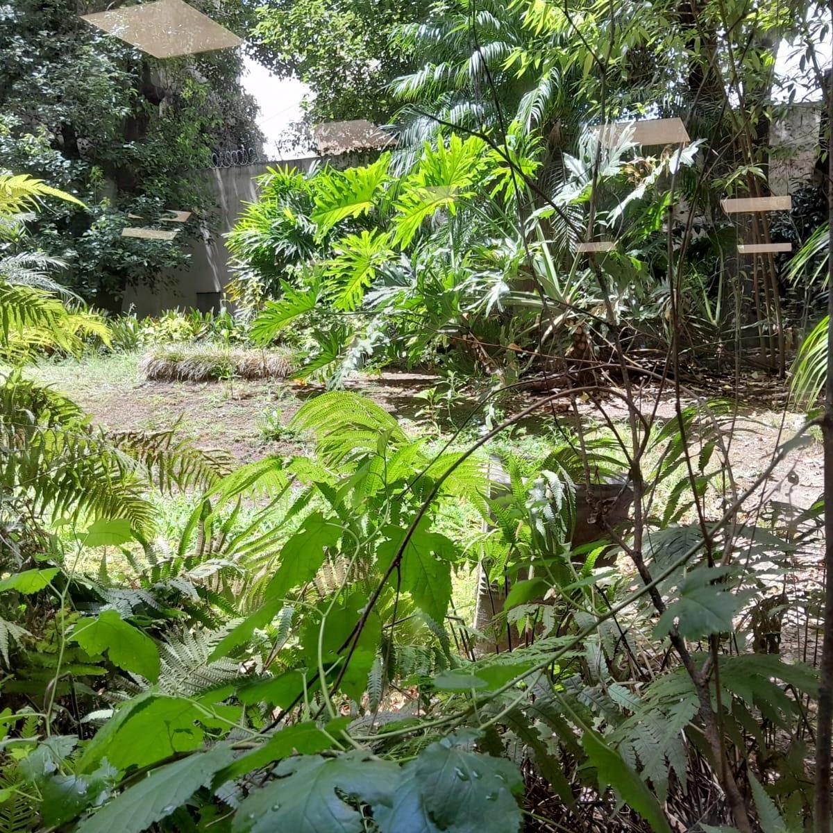 Venta - Oficina Petit Hotel - Retiro - 2550 m² - 5 Plantas - 1 Cochera 1
