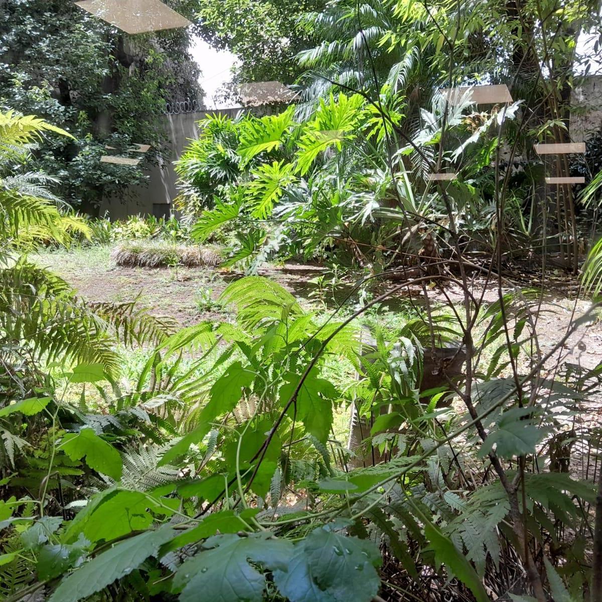 Alquiler - Oficina Petit Hotel - Retiro - 2500 m² - 6 Plantas - 1 Cochera 1