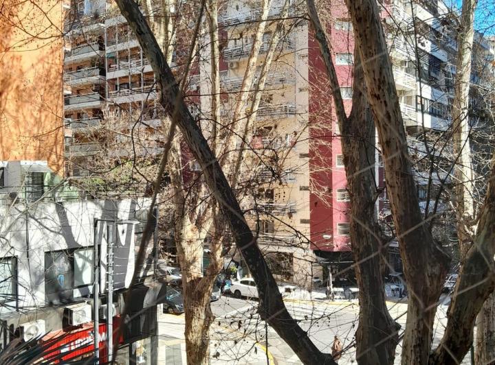 Alquiler - Local - Cañitas Imprenta - 350 m2 - 3 plantas - cochera 2 autos 3