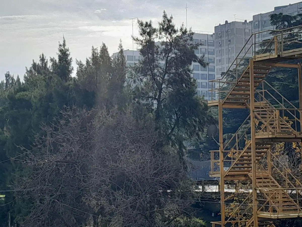 Alquiler - Departamento - Colegiales Nuevo - Concepción Live - Monoambiente - 65 m2 - cochera 8