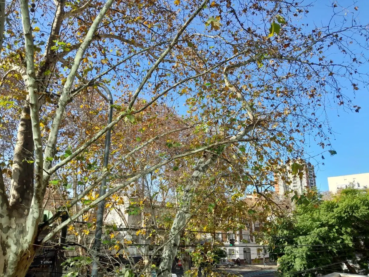 Venta - Oficina - Belgrano - Nuñez - 180 m2 - cocheras 5