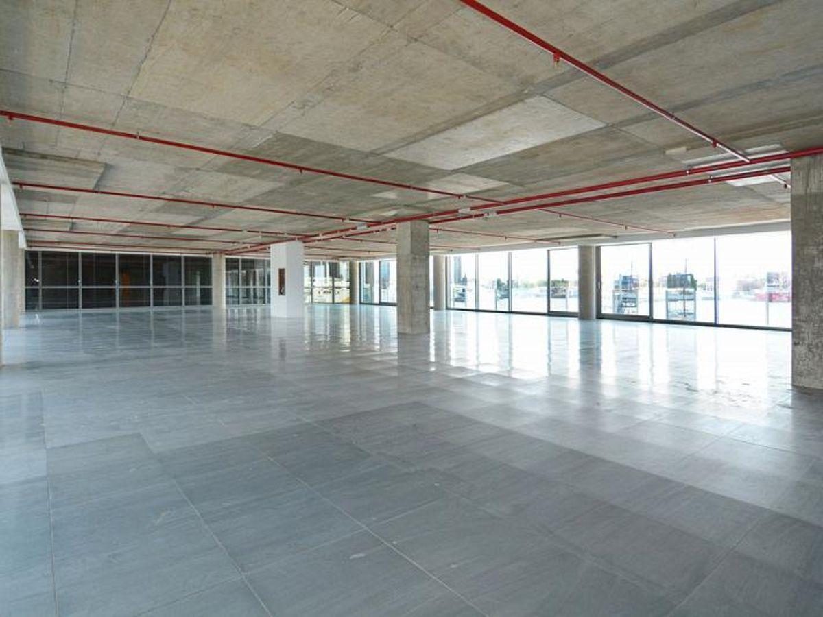 Foto de Alquiler - Oficina - Puerto Madero - A ESTRENAR -550m2 - 5 cocheras -, imagen 2