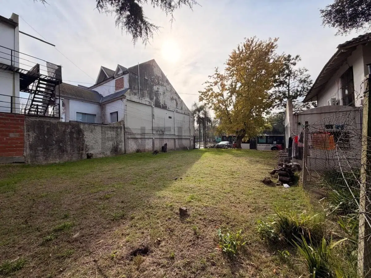 VENTA LOTE AV. GRAL PERON BENAVIDEZ COMERCIAL 2