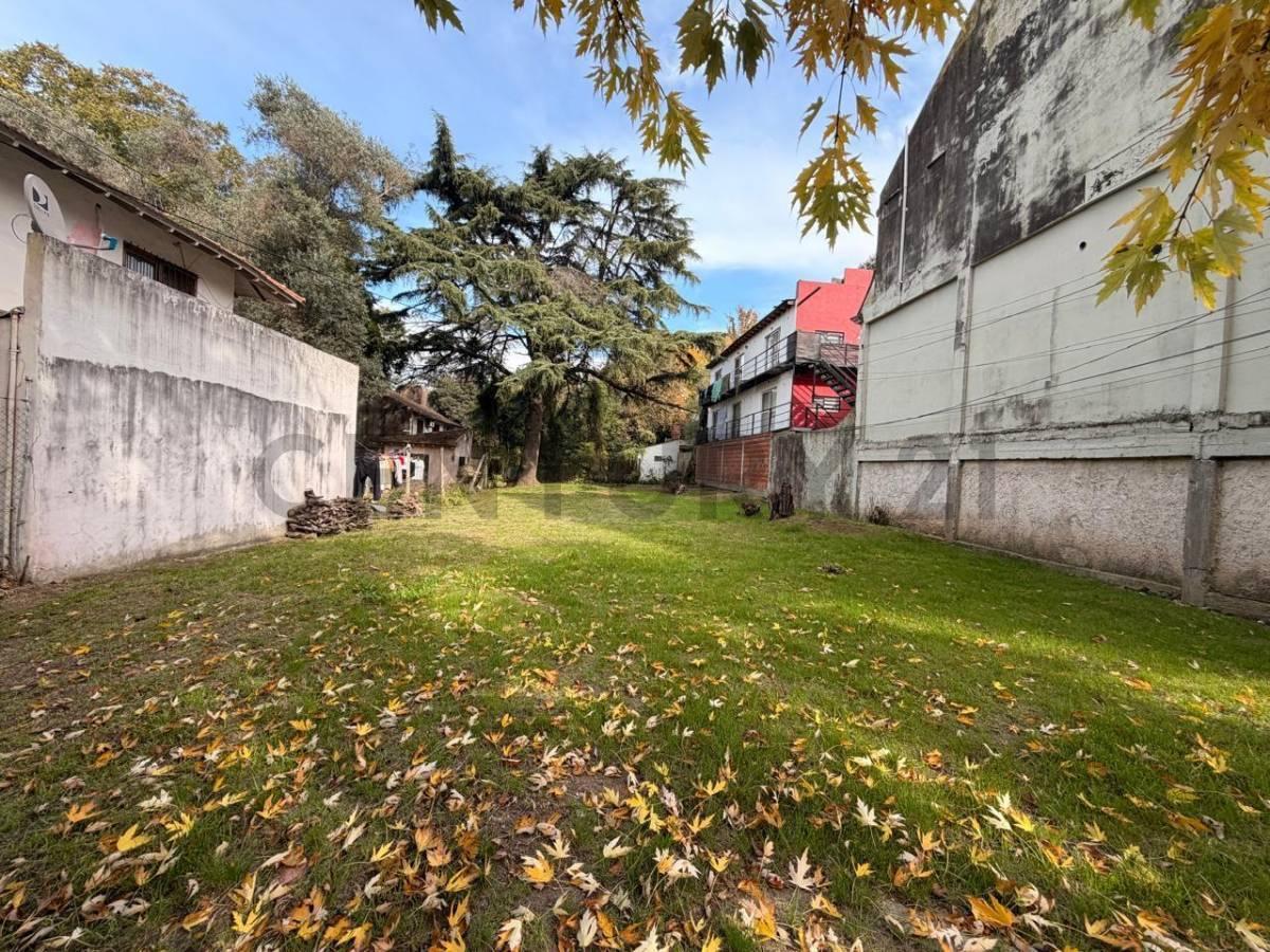 VENTA LOTE AV. GRAL PERON BENAVIDEZ COMERCIAL