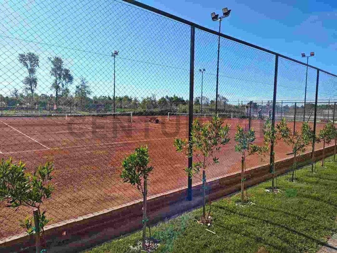 Foto de Propiedad 364190, imagen 3