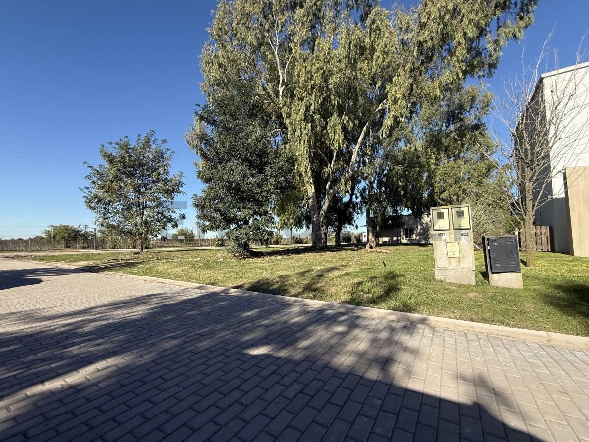 Foto de VENTA LOTE EN HORIZONTES AL SUR, imagen 4
