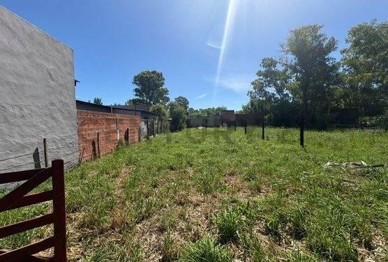 Foto de VENTA TERRENO EN SAN MIGUEL DEL MONTE, imagen 5