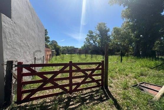 VENTA TERRENO EN SAN MIGUEL DEL MONTE