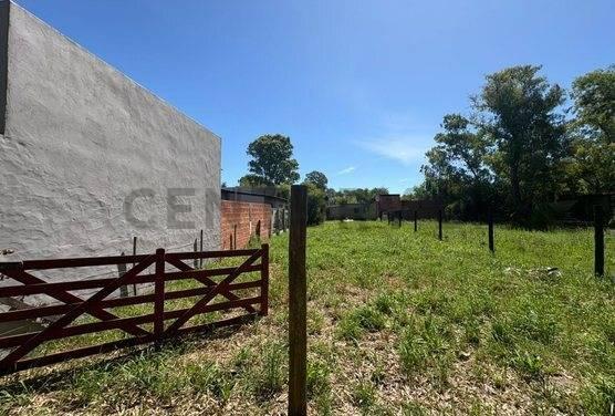 Foto de VENTA TERRENO EN SAN MIGUEL DEL MONTE, imagen 2
