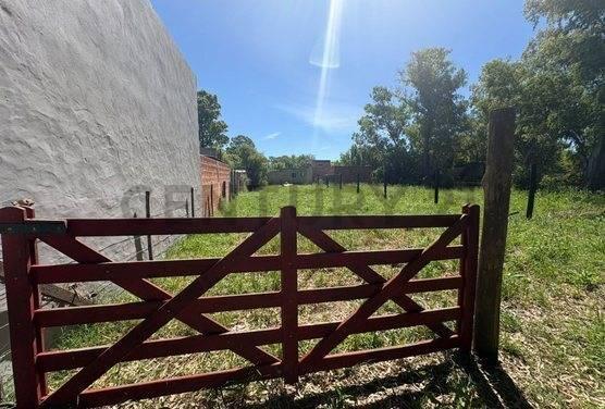 Foto de VENTA TERRENO EN SAN MIGUEL DEL MONTE, imagen 4