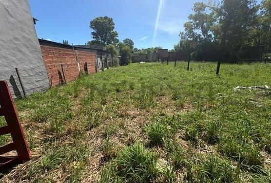 Foto de VENTA TERRENO EN SAN MIGUEL DEL MONTE, imagen 3