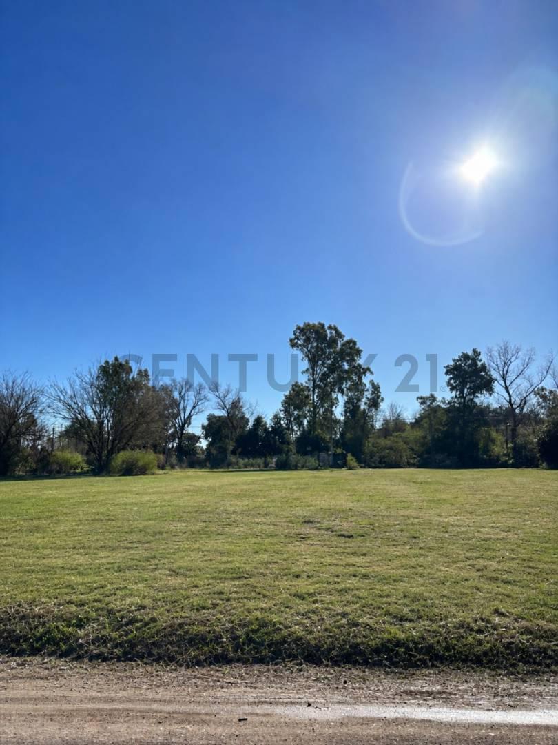 Foto de VENTA LOTE SAN MIGUEL DEL MONTE, imagen 3