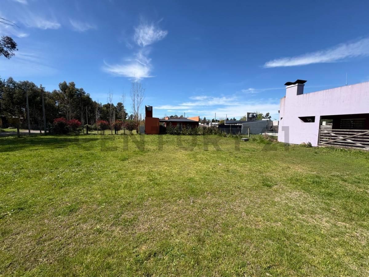 Foto de LOTE EN VENTA SAN MIGUEL DEL MONTE, imagen 4