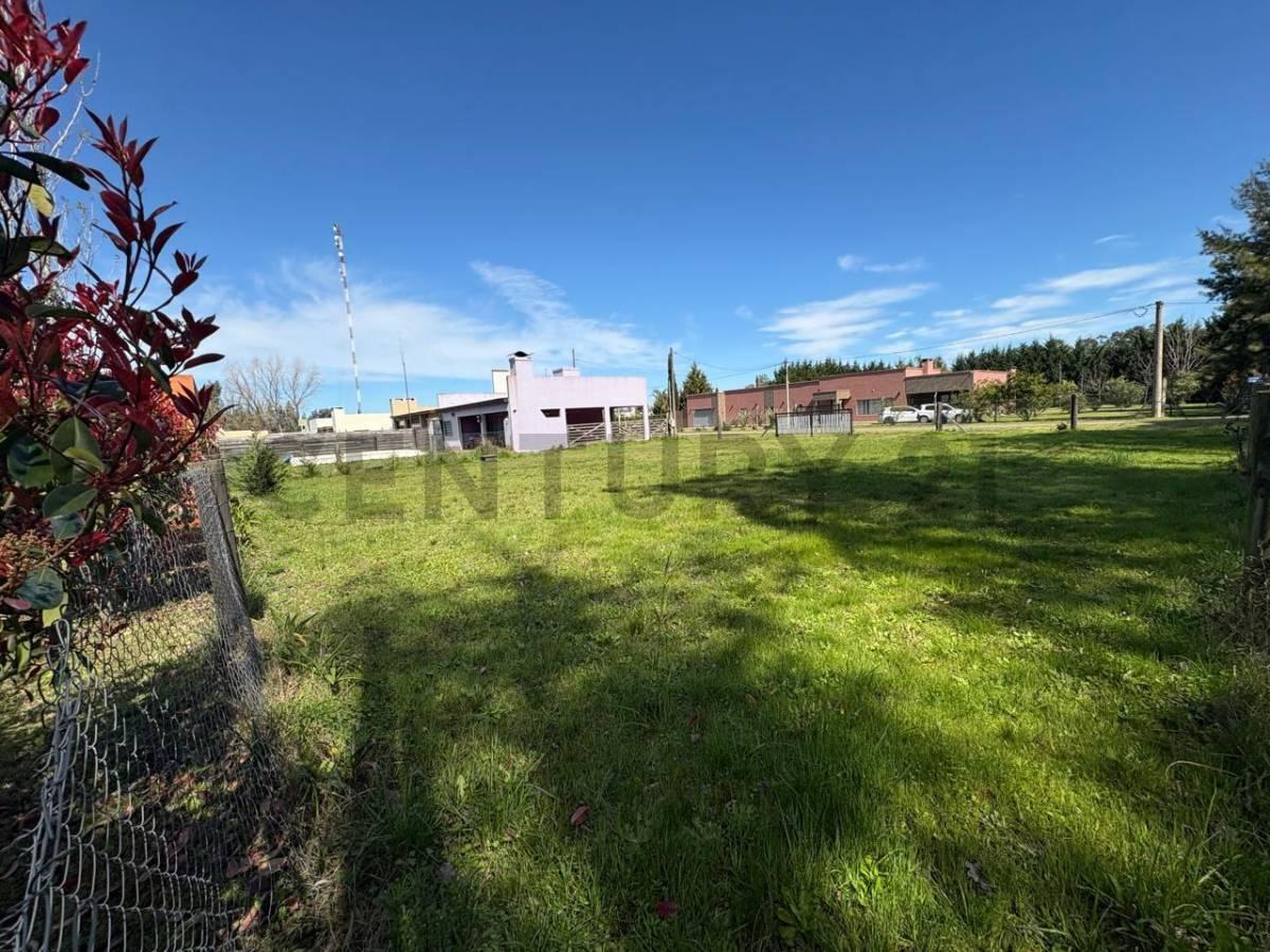Foto de LOTE EN VENTA SAN MIGUEL DEL MONTE, imagen 3