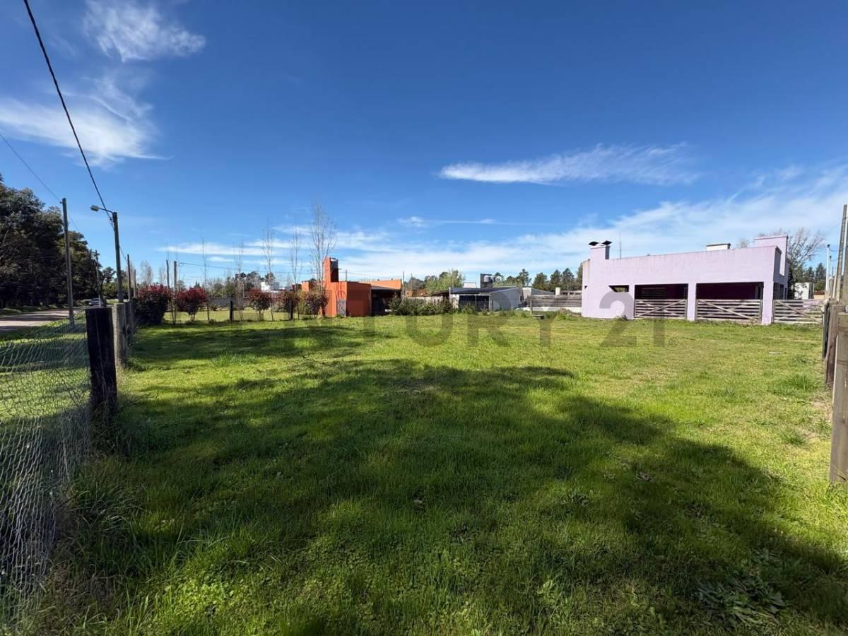 LOTE EN VENTA SAN MIGUEL DEL MONTE