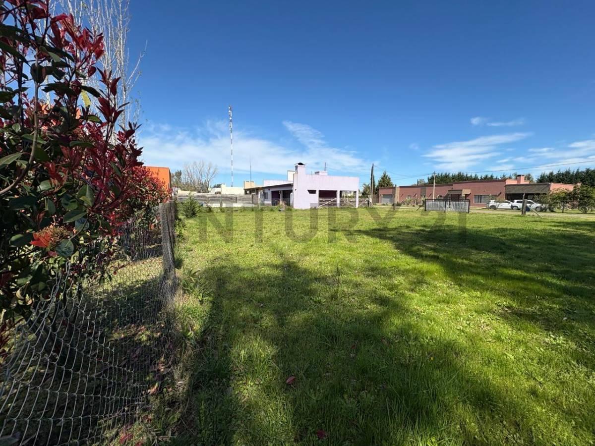 Foto de LOTE EN VENTA SAN MIGUEL DEL MONTE, imagen 5