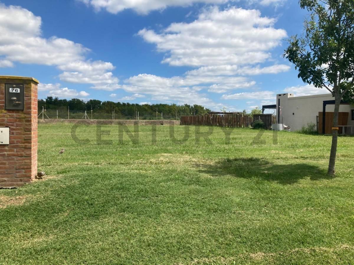 Foto de VENTA EXCENTENTE LOTE ESCRITURADO AREA 9 PERMUTA!, imagen 1