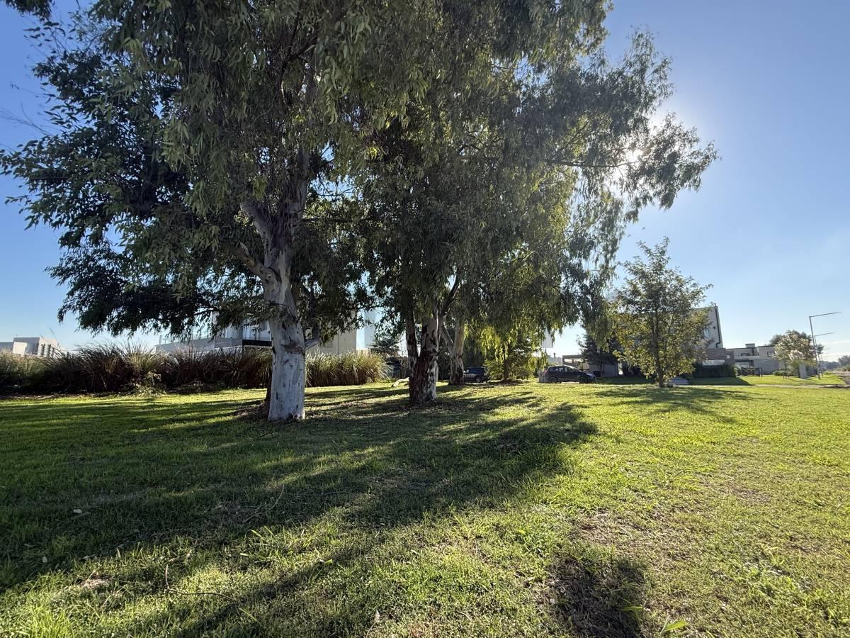 Foto de VENTA LOTE EN HORIZONTES AL SUR, imagen 1