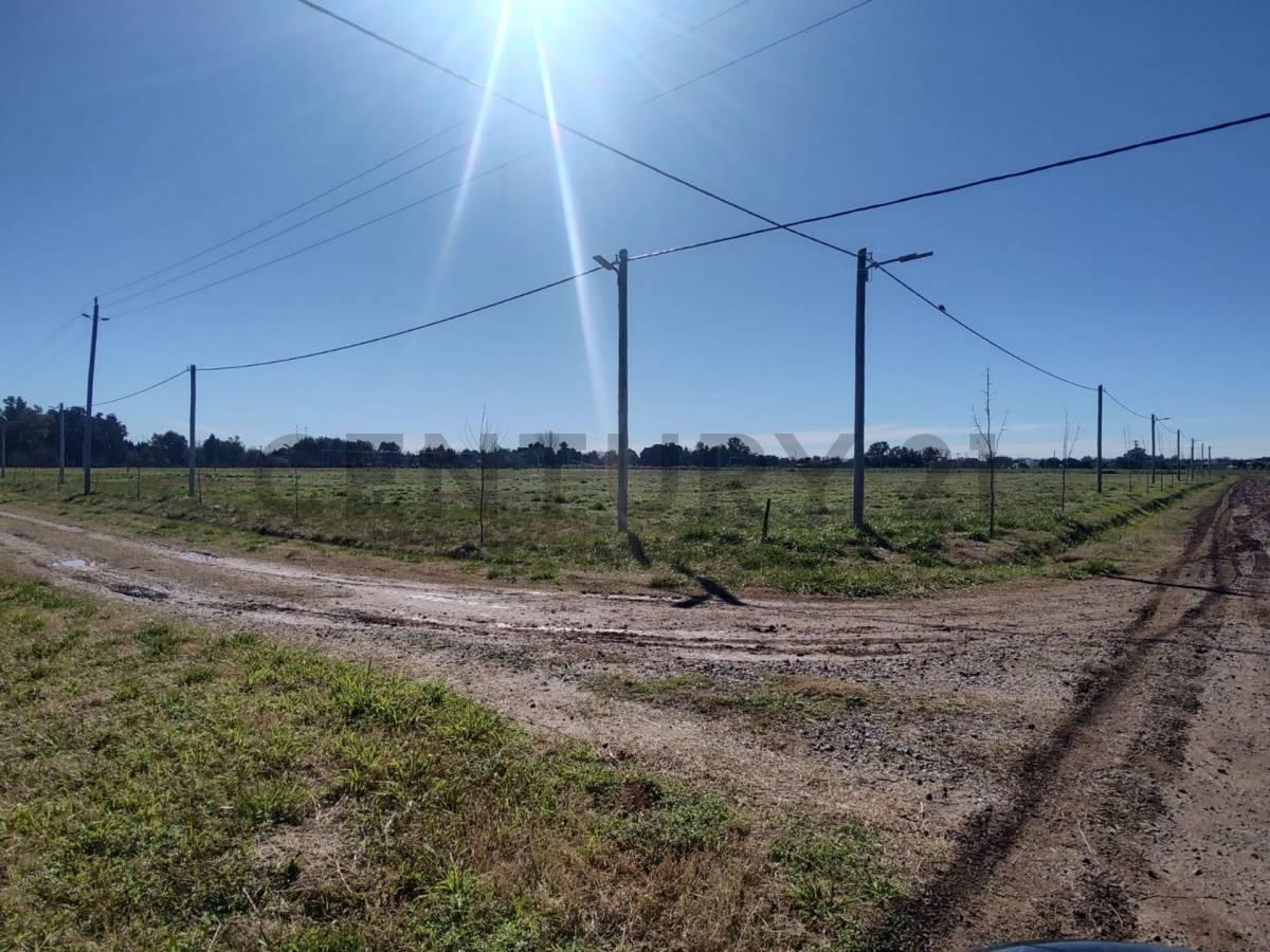 Foto de VENTA LOTE EN LOBOS BARRIO DON FELIPE, imagen 4