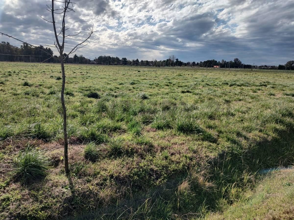 Foto de VENTA LOTE EN LOBOS BARRIO DON FELIPE, imagen 3