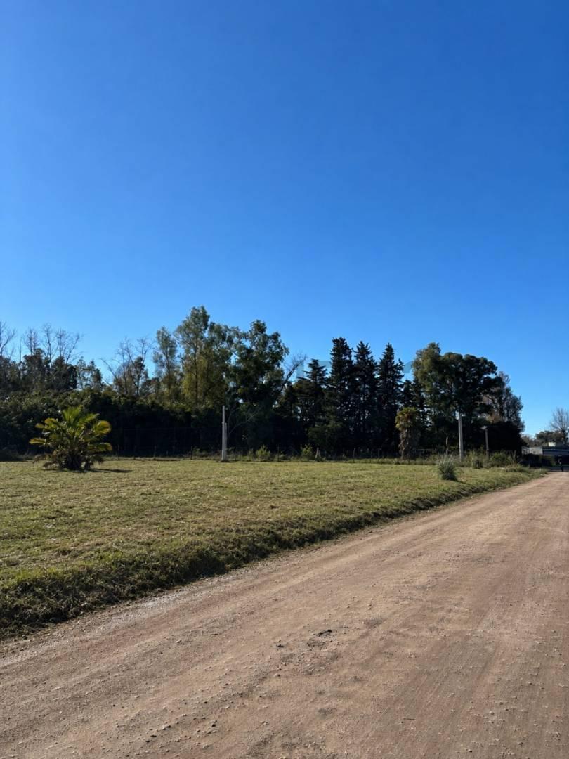 Foto de VENTA LOTE SAN MIGUEL DEL MONTE, imagen 4