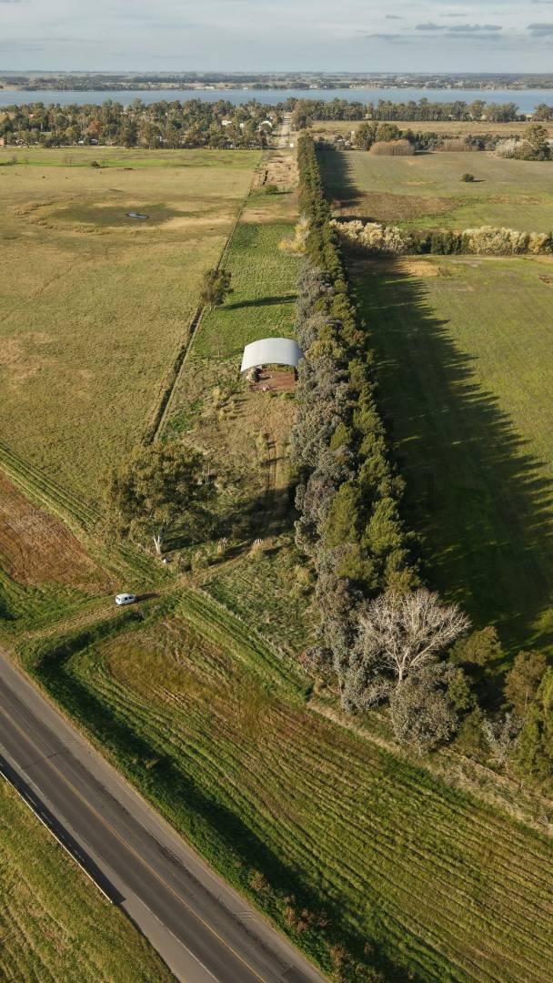 Foto de VENTA CAMPO SOBRE RUTA NACIONAL Nº 3 MONTE, imagen 2
