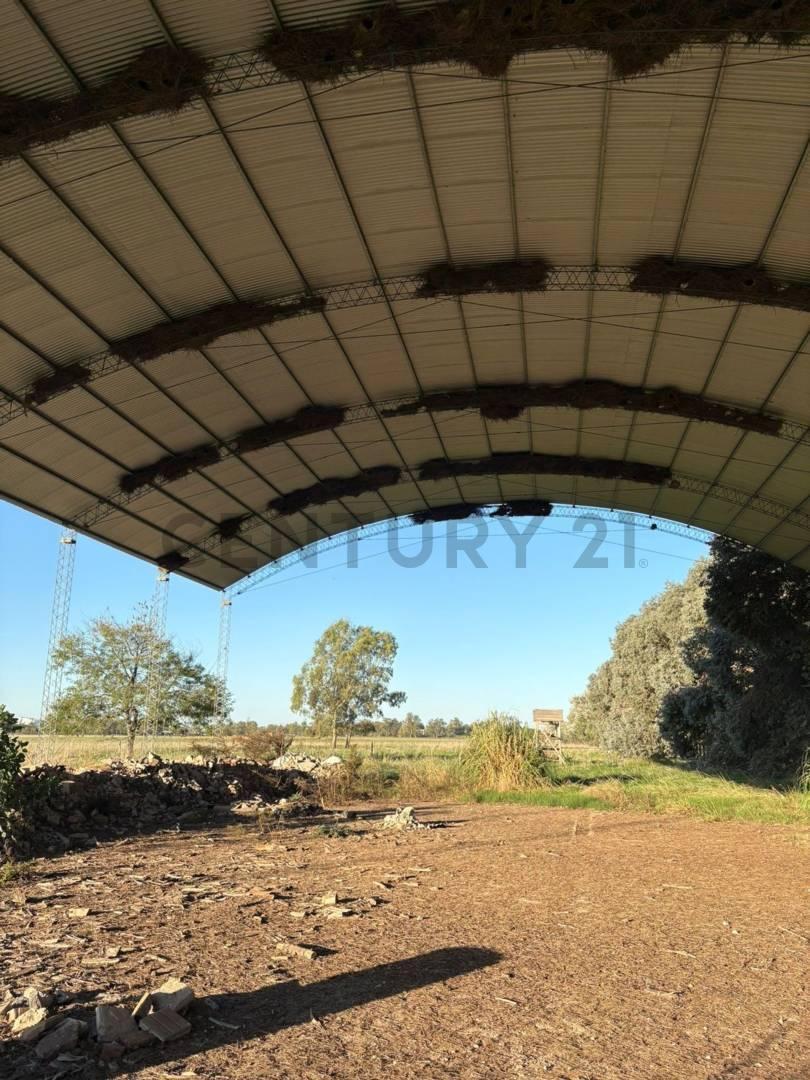 Foto de VENTA CAMPO SOBRE RUTA NACIONAL Nº 3 MONTE, imagen 3