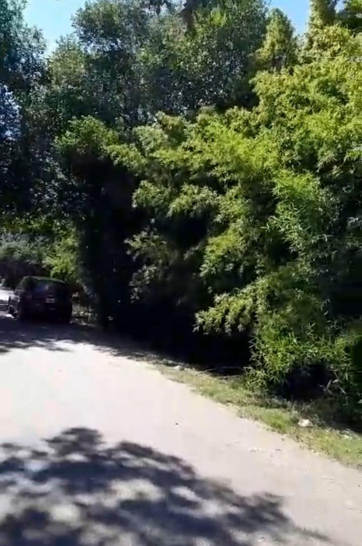 Foto de OPORTUNIDAD LOTE 298M2 EN TORTUGUITAS, imagen 1