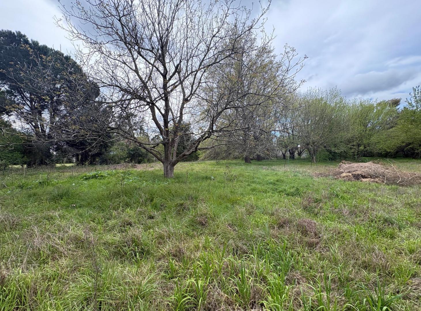 Foto de Terreno en venta San Miguel del Monte, imagen 5