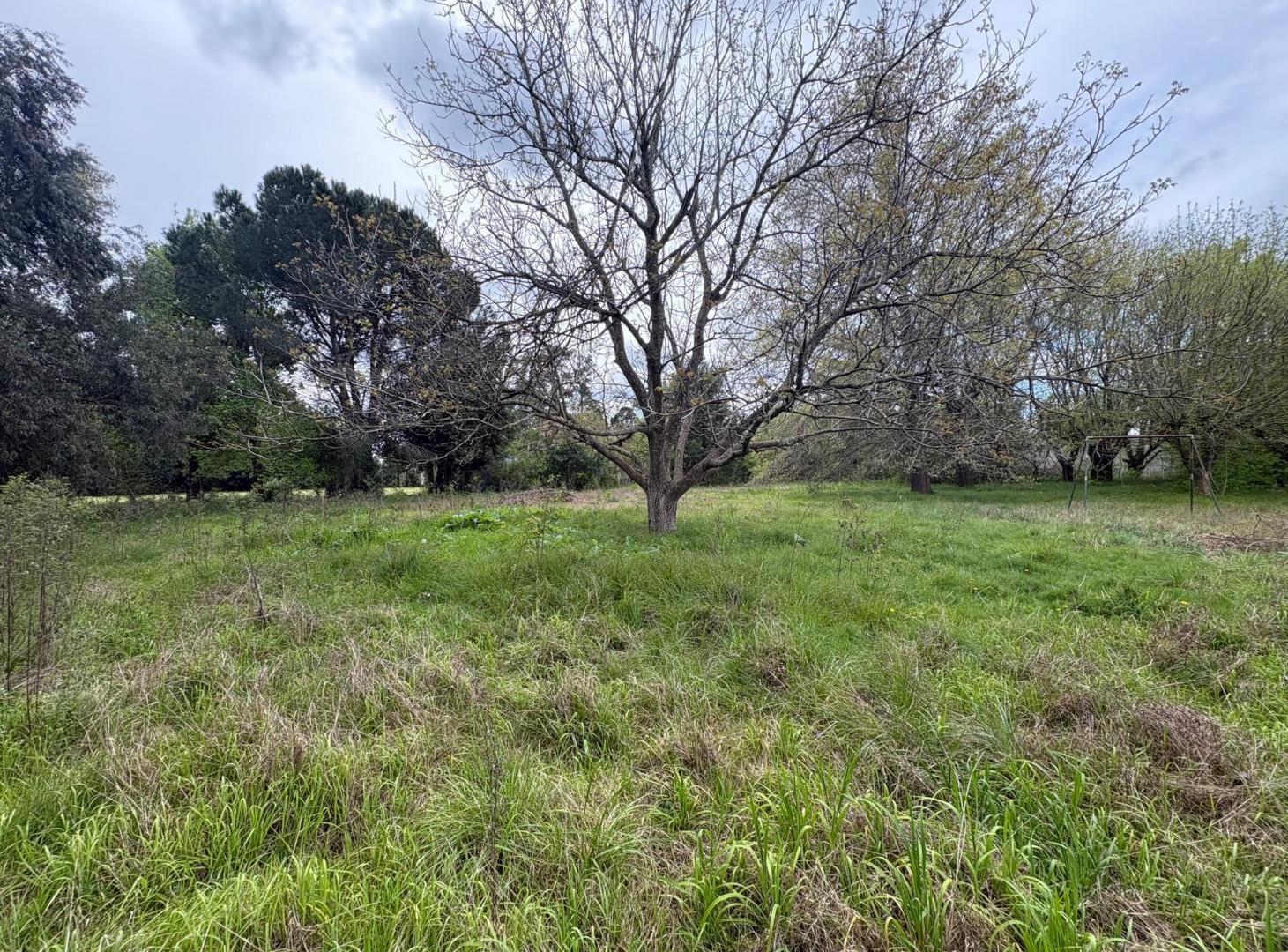 Foto de Terreno en venta San Miguel del Monte, imagen 4
