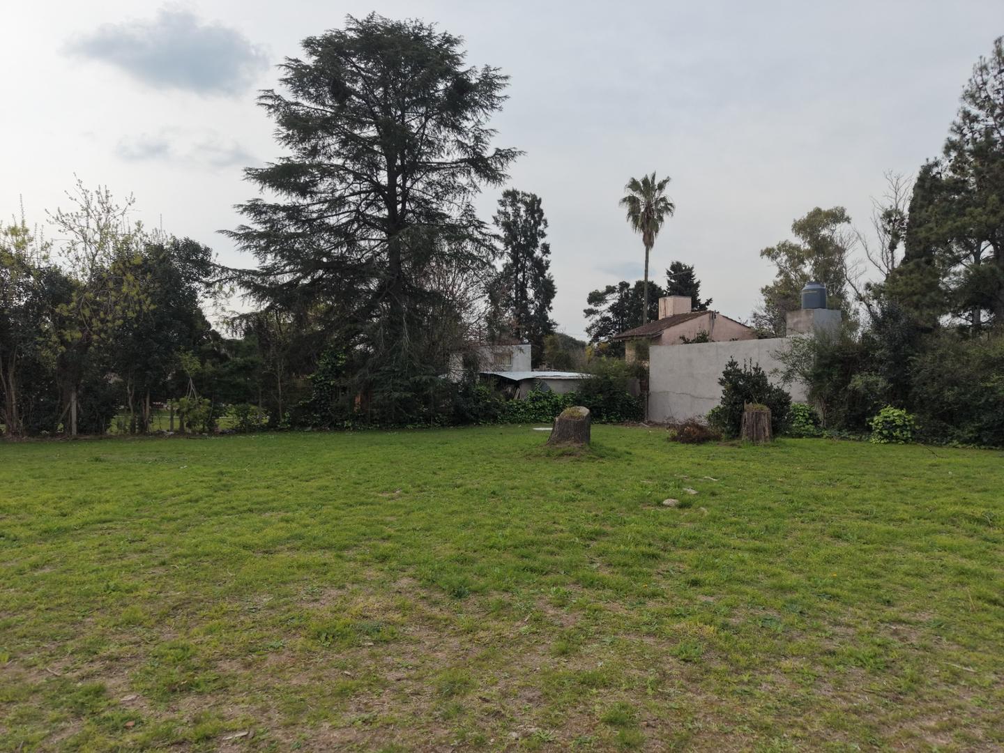 Foto de LOTE EN VENTA EN BENAVIDEZ, imagen 5