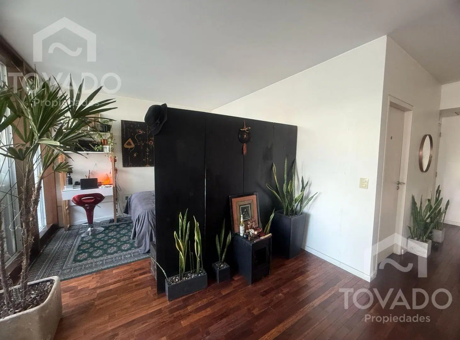Monoambiente dividido con amenities en Chacarita! 2